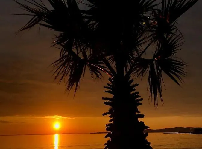 Апартаменты Robi *