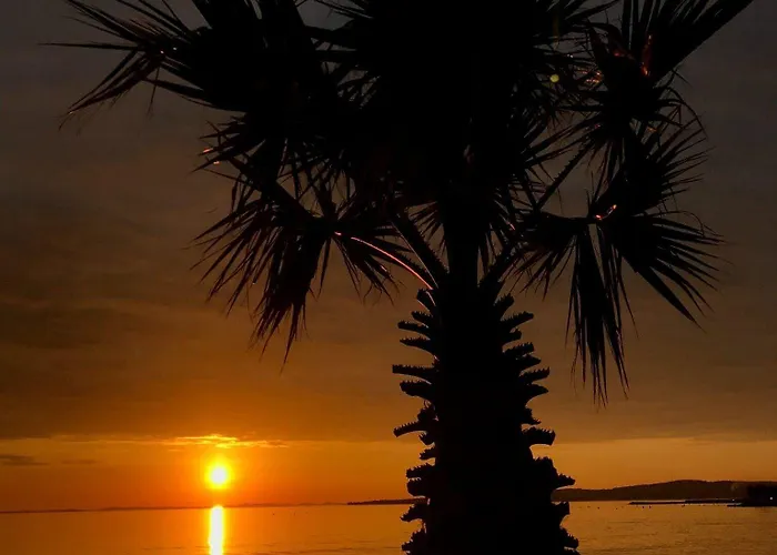 Robi Апартаменты Вир