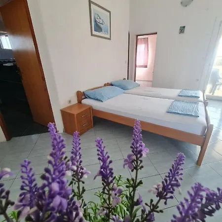Robi Apartment Vir