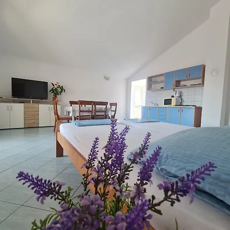 Robi Apartamento Vir